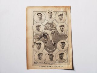 Cardinals 1924 Team Picture Rogers Hornsby Bill Sherdel Johnny Stuart Hi Myers