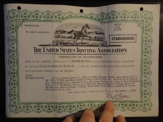 Vintage 1965 Race Horse Registration 