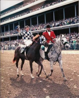 Secretariat & Ron Turcotte 1973 Kentucky Derby Photo