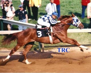 Secretariat & Ron Turcotte - 8x10 1973 Preakness Stakes Photo - The Leap