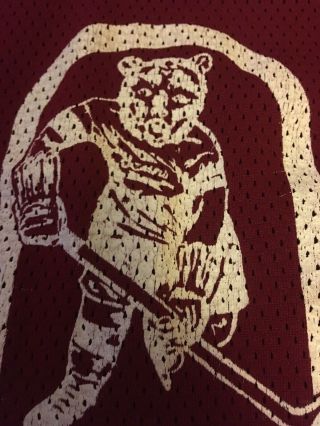 Vintage Hershey Bears Hockey Jersey 18 game worn? Size XXL AHL 4