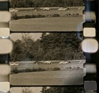 1949 Atlanta Georgia Lakewood Speedway Nascar 8mm Film Footage.