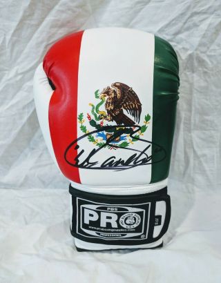Canelo Alvarez Signed Mexico Boxing Glove Wbo World Champion Mexico Proof Ggg