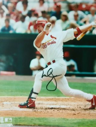 Mark Mcgwire - St.  Louis Cardinals - 8 X10 - Glossy Signed Photo - Reprint