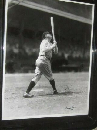 Babe Ruth Ny Yankees Baseball Brace 11x14 Batting Photo Autograph
