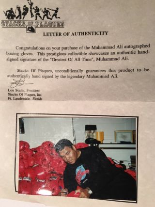 Muhammad Ali Autograph Signed Full Size Everlast Boxing Glove 2