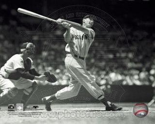 Ted Williams Licensed Boston Red Sox 8x10 Photo Fenway Park