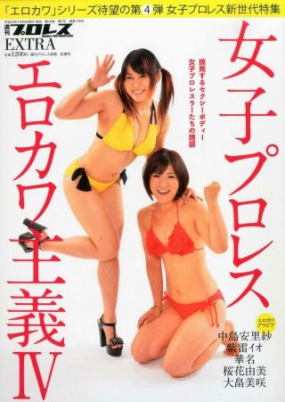 Erokawa Shugi Japanese Women Pro Wrestling Photo Book Extra Vol.  Iv 2013 Years