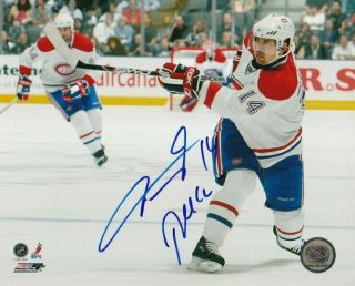 Tomas Plekanec Signed Montreal Canadiens 8x10 Photo 5 Autograph