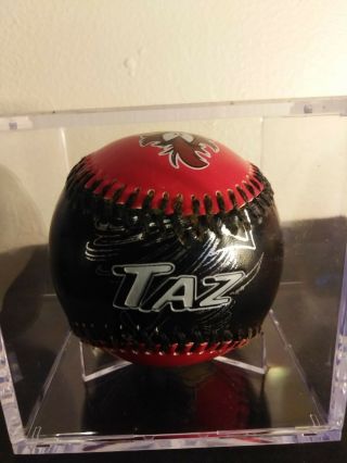 Embroidered Collectible Souvenir Baseball Six Flags Taz