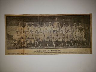 Chicago Cubs 1910 Chicago Tribune Newspaper Team Picture Insert Mordecai Brown