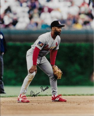 Ozzie Smith - St.  Louis Cardinals - Hand Signed - Autographed 8x10 Photo -
