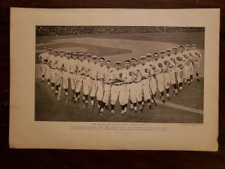 Chicago Cubs 1910 Huge Team Picture Insrt Joe Tinker Mordecai Brown Frank Chance
