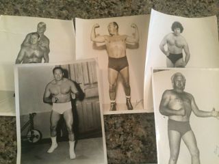 5 Vintage Wwf/wrestling 8x10 Photos