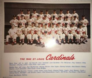1963 St.  Louis Cardinals Team Photo / Stan Musial / Bob Gibson / Issue