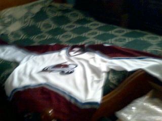 A Old Hockey Jersey Of Goalie David Aebischer With The Colorado Avalanche