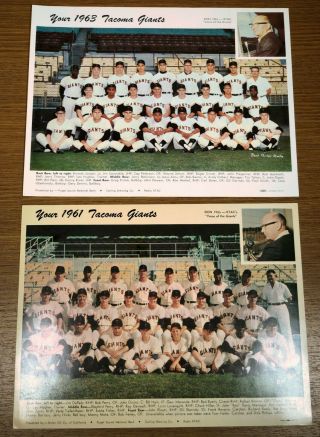 1961 And 1963 Tacoma Giants Baseball Club Sports Team Photograph Photo