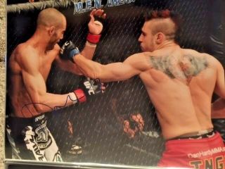 Dan Hardy " The Outlaw " Signed Autographed Ufc 16x20 Wec Pride Mma Photo