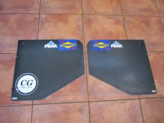 Indy Race Car Irl Dallara Carbon Fiber Rear Wing End Plates Fence Road Course