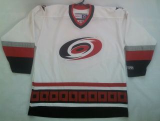 Vintage Made In Canada Ccm Carolina Hurricanes Hockey Jersey In Size Xl