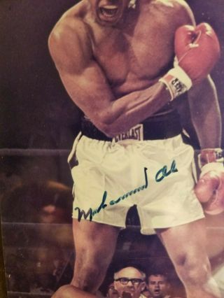 Muhammad Ali Signed 8x10 Color Photo Knock Out Liston May 1965 Psa Dna Loa