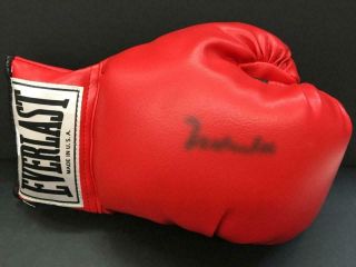 Muhammad Ali Autograph Signed Full Size Everlast Boxing Glove Auto Jsa Loa