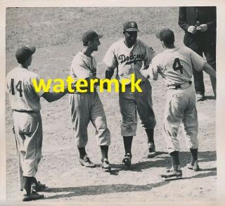 1951 Jackie Robinson Brooklyn Dodgers Nl Hof 8x10 Photo ^