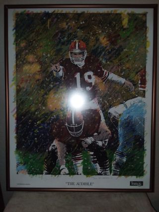 Bernie Kosar Signed & Framed " The Audible " Limited Edition Print 1130 Of 2000