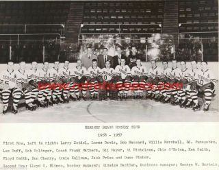 1956 - 57 Hershey Bears Hockey Reprint Team Photo