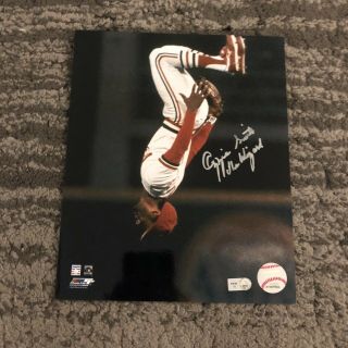 Ozzie Smith Signed St Louis Cardinals Autographed 8x10 Photo