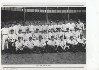 1923 York Yankees Team Photo - Daily News 8 X 10 Photo 1 - Babe Ruth