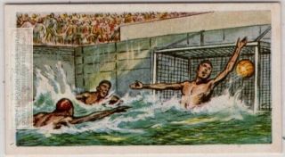 1956 Olympics Water Polo Hungary Gold Medal Winners Vintage Trade Ad Card