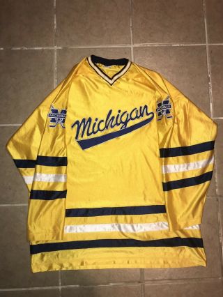 Michigan Wolverines Ncaa Vintage Aaron Men 