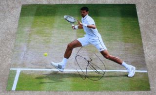Novak Djokovic Signed Authentic Wimbledon 2014 11x14 Photo W/coa Tennis