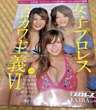 Erokawa Shugi Japanese Women Pro Wrestling Photo Book 2015 Years