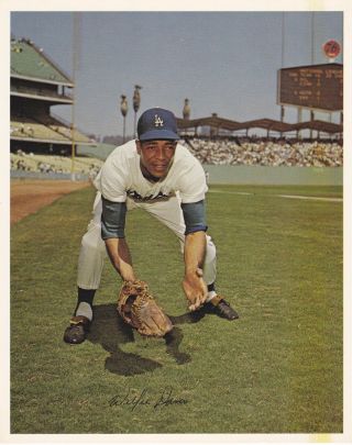 Willie Davis Los Angeles Dodgers 8 X 10 Souvenir Baseball Photo
