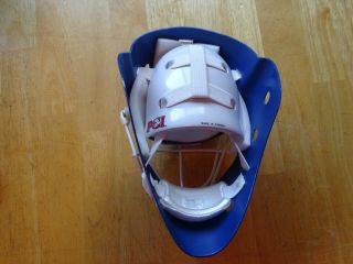 Winnipeg Jets PCI NHL Hockey Mini Goalie Mask 3