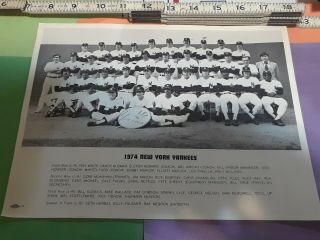 1974 York Yankees 8.  5 By 11 Team Photo