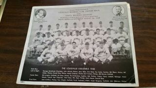 1948 Louisville Colonels 8x10 Team Photo Kentucky Baseball Oertel Brewing Wave