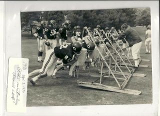 Vintage Chicago Bears Wire / Press Photo: 1970 Training Camp 7 X 9