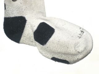 ANDREW ADAMS CONNECTICUT HUSKIES GAME WORN SIGNED WHITE BLACK NIKE SOCK LIONS 3