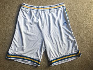 Ucla Bruins Ncaa Game Worn Adidas Basketball Shorts Size 44,  4 Length