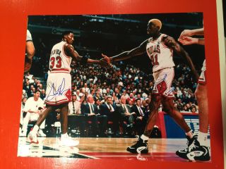Scottie Pippen & Dennis Rodman Signed Chicago Bulls 16x20 Photo Psa