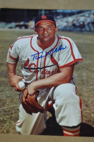 Ted Wilks Autographed Signed 8x10 Photo St.  Louis Cardinals