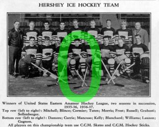 1936 - 37 Hershey Bears Hockey Reprint Team Photo