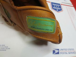 vintage - TED WILLIAMS Baseball - Glove - Sears - Roebuck PROFESSIONAL MODEL16173 - Rare 2