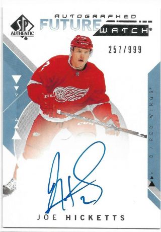 2018 - 19 Sp Authentic 18 - 19 Autographed Future Watch Joe Hicketts /999 Red Wings