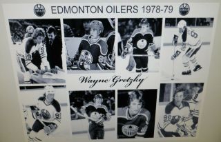 1978 - 79 Edmonton Oilers WHA photos 8x10 Gretzky Semenko Flett Goldsworthy Shmyr 6