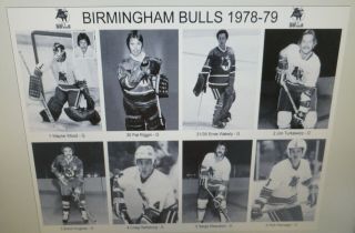 1978 - 79 Birmingham Bulls Wha Photos 8x10 Goulet Vaive Riggin Hartsburg Gingras.