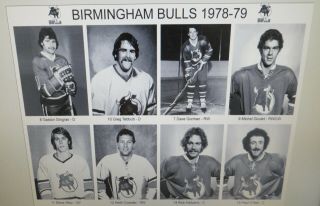 1978 - 79 Birmingham Bulls WHA photos 8x10 Goulet Vaive Riggin Hartsburg Gingras. 2
